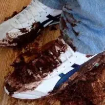 Asics hightops stomp cake